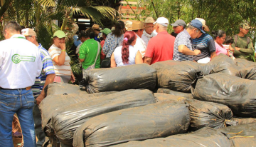Programa de alimento para bovinos ha beneficiado a 10.000 ganaderos