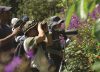 Colombia encabeza el listado de Global Big Day