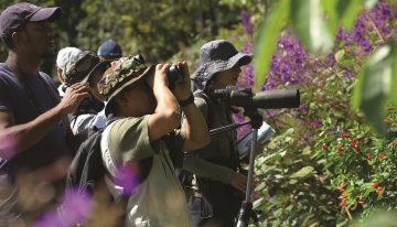 Colombia encabeza el listado de Global Big Day