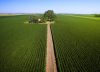 Acciones para mitigar el efecto del cambio climático