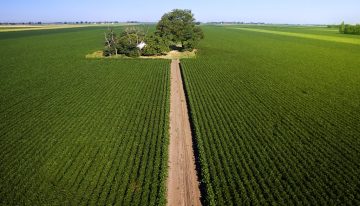Acciones para mitigar el efecto del cambio climático