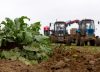 Nuevas alternativas para el crecimiento eco sostenible para el agro colombiano