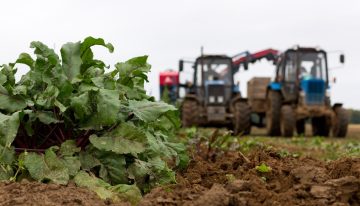 Nuevas alternativas para el crecimiento eco sostenible para el agro colombiano