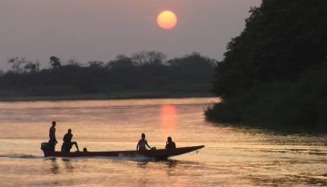 Arauca, potencial para la actividad pecuaria