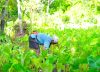 Desafíos de Colombia para estar a la altura de la OCDE