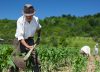Agro, tecnología y universidades, sectores con mayor confianza entre los consumidores