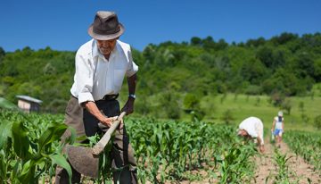 Agro, tecnología y universidades, sectores con mayor confianza entre los consumidores