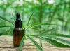 5 mitos y realidades del cannabis medicinal en Colombia