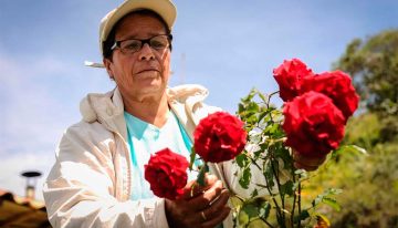 Objetivos de Desarrollo Sostenible en la mira del sector floricultor