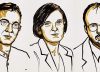 Esther Duflo, la segunda mujer que recibe el Nobel de Economía