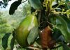 Colombia sigue atrayendo a inversionistas extranjeros