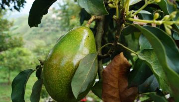 Colombia sigue atrayendo a inversionistas extranjeros