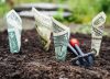 Estas son las 5 principales tendencias de la economía mundial