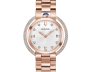 South American Watch