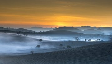 Altas temperaturas y heladas encienden alarmas del campo