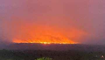 Tragedia ambiental en La Macarena por incendios provocados