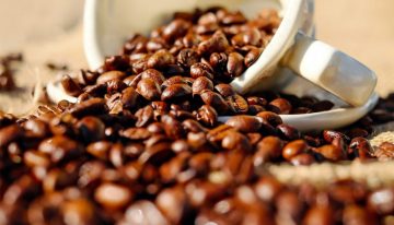 Caficultura creció 9,5% el año pasado, tres veces más que la economía