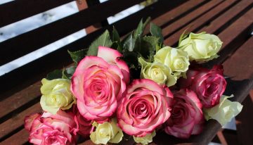 Flores colombianas buscan hacer su ‘febrero’ en San Valentín