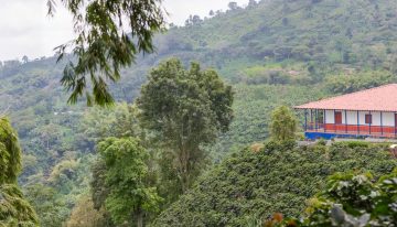 Colombia exporta café premium al exterior a través de Amazon