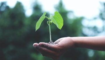 Día mundial de la tierra: Cómo cuidarla desde casa