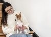 Consejos para cuidar a su mascota en cuarentena