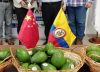 23 toneladas de aguacate Hass llegarán a China
