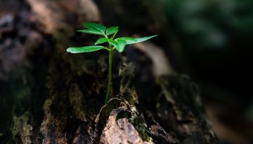 Médicos piden cambio ambiental con la crisis del COVID