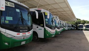 A 2,5 billones ascienden las pérdidas del transporte público especial en el país