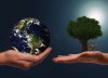Economía: el futuro es circular