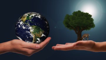 Economía: el futuro es circular