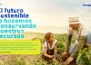 La sostenibilidad post Covid
