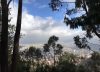 ¡Reencuéntrate con la naturaleza! Abren senderos ecológicos y Jardín Botánico