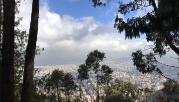 ¡Reencuéntrate con la naturaleza! Abren senderos ecológicos y Jardín Botánico