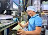 SENA y fundación alemana promoverán empleabilidad a través de la formación dual