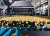 Duque anuncia que PepsiCo realizará millonaria inversión en Colombia