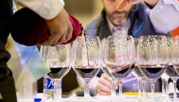 Confinamiento aumentó el consumo de vino pero las cifras son bajas aún
