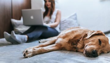 Proyecto de trabajo en casa limita la creación de nuevos empleos: empresarios