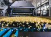 Así se moverá la inversión extranjera después del desplome de 2020