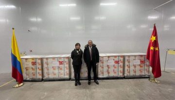 ¿Cuál es la eficacia de la vacuna china de Sinovac que comenzará a llegar el fin de semana?