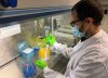 Covid-19: ¿Por qué es tan difícil saber si las nuevas variantes son más contagiosas?