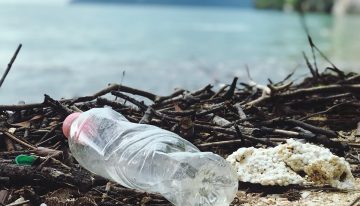 Las muertes y enfermedades que evitaríamos si redujésemos la contaminación