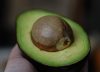 Colombia se posiciona como el primer proveedor de aguacate de Europa