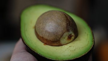 Colombia se posiciona como el primer proveedor de aguacate de Europa