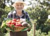 Así puede participar en los Mercados Campesinos de 2021