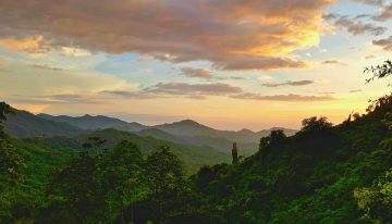 MinAmbiente propondrá Ley de delitos ambientales ante el Congreso