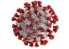 ¿Para qué sirven los virus?