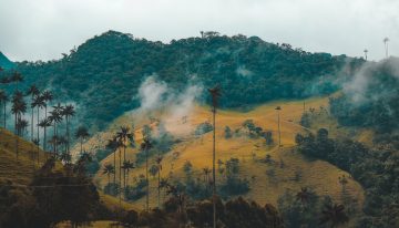 ¿Por qué Colombia no ha logrado preservar su biodiversidad?