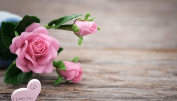 Celebración del Día de la Madre quedará aplazada para el 30 de mayo