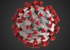 Ocho medidas clave contra el coronavirus (que está en el aire y no tanto en superficies)