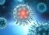 Así es como algunas vacunas paralizan al virus de la covid-19